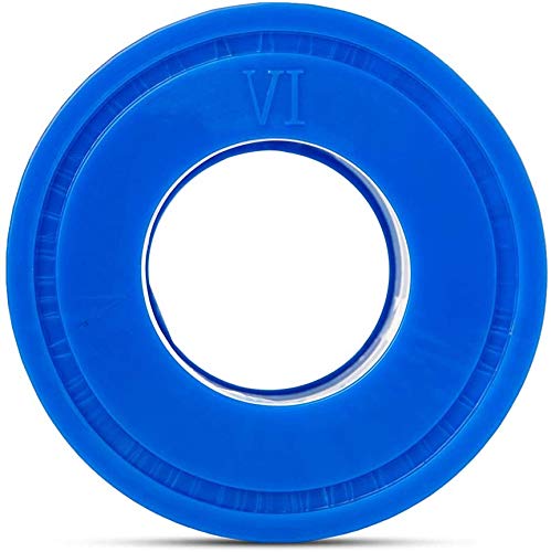 Bestway Coleman SaluSpa Filter Type VI Replacement Cartridge (8 Pack)…