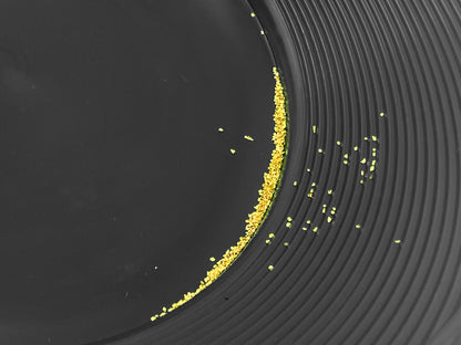 Sluice Fox Spiral Gold Pan with Vanishing Riffle